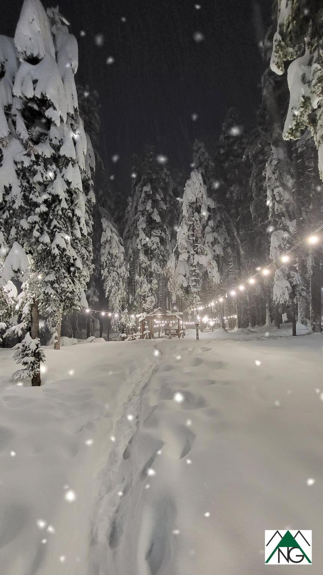 Pinewood Ang Luxurious Apartment A32 Borovets Buitenkant foto